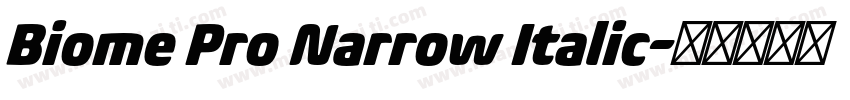 Biome Pro Narrow Italic字体转换